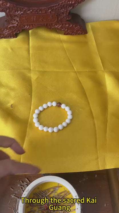 🏮 Taoist Feng Shui Smooth Life Set – For Safety & Prosperity